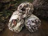California White Sage - Smudge Bundle