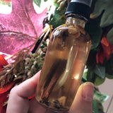 Thorn & Moon - Season of the Witch Spray - Essential Oils - Autumn Blessings