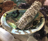 Large Abalone Shell 5-6” - Bowl - Incense Burner - Sage Holder - Crystals