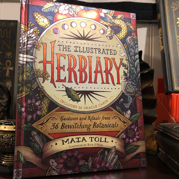 The Illustrated Herbiary by Maia Toll