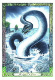 The Druid Animal Oracle Deck