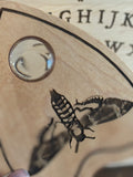 Flora & Fauna Spirit Board and Planchette Set - Bugs and Botanicals - Maple Wood and Glass