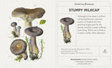 Mushroom Knowledge Cards