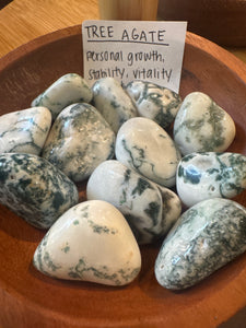 Tree Agate - Tumble Stone