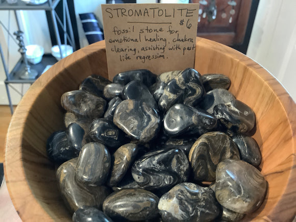 Stromatolite - Tumble Stone