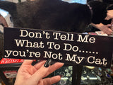 Magnetic Bumper Stickers - Assorted Styles