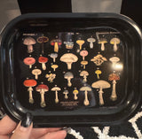 Mystical Metal Trays