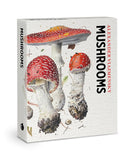 Mushroom Knowledge Cards