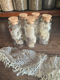 Jar of Snake Skin - Snake Shedding