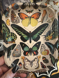 Mystical Metal Trays