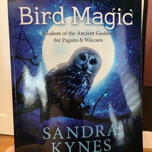 Bird Magic by Sandra Kynes