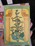 Seed Collection - Magickal Flowers, Herbs, and Vegetable Varieties