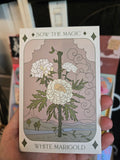 Seed Collection - Magickal Flowers, Herbs, and Vegetable Varieties