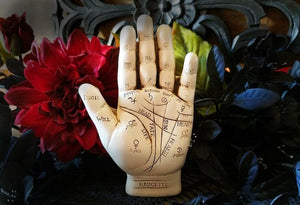 Palmistry Hand