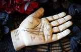 Palmistry Hand