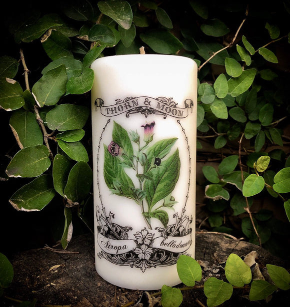 Thorn & Moon Candle - Belladonna - The Poison Garden Collection - Deadly Nightshade - Atropa belladonna - Baneful - Decorative 6