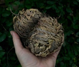 Rose of Jericho - Magickal Resurrection Plant