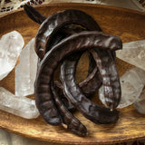 Carob Seed Pod - Locust Bean - St. John’s Bread - Carobhina - Chocolate Substitute - Carob - Tea - Hoodoo - Protection - Magick