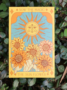 Seed Collection - Magickal Flowers, Herbs, and Vegetable Varieties