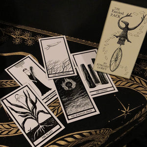 The Fantod Pack Tarot Deck - Edward Gorey