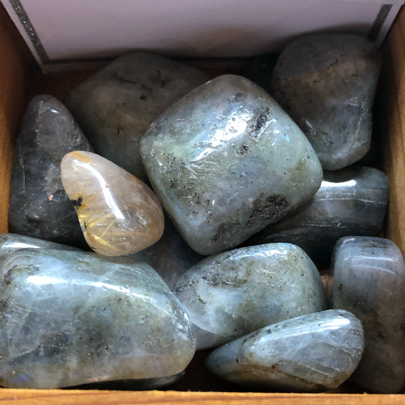 Labradorite - Tumble Stone