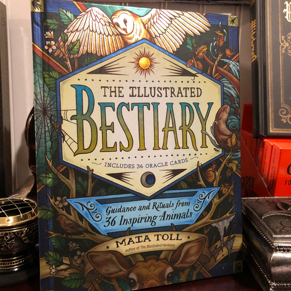 The Illustrated Bestiary by Maia Toll