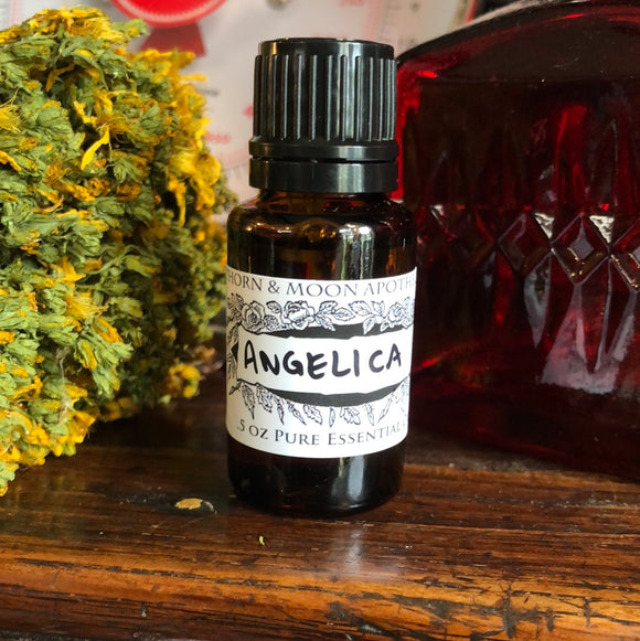 Pure Essential Oil - Angelica Root - All Organic