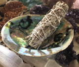 6” Abalone Shell - Bowl - Incense Burner - Sage Holder - Crystals