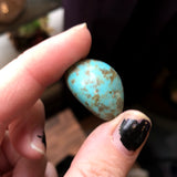 Genuine Mexican Turquoise - Tumble Stone