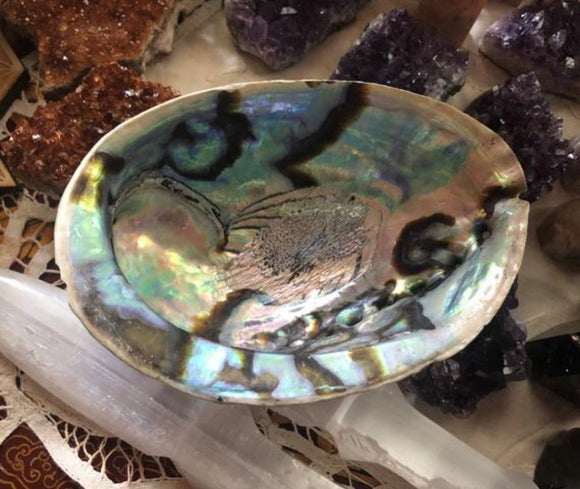 3” Abalone Shell - Bowl - Incense Burner - Sage Holder - Crystals