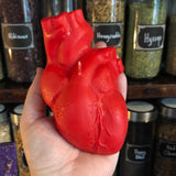 Anatomical Heart Candle - Soy Wax - Cherry Scent
