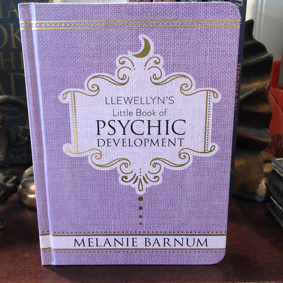 Llewellyn’s Little Book of Psychic Development by Melanie Barnum